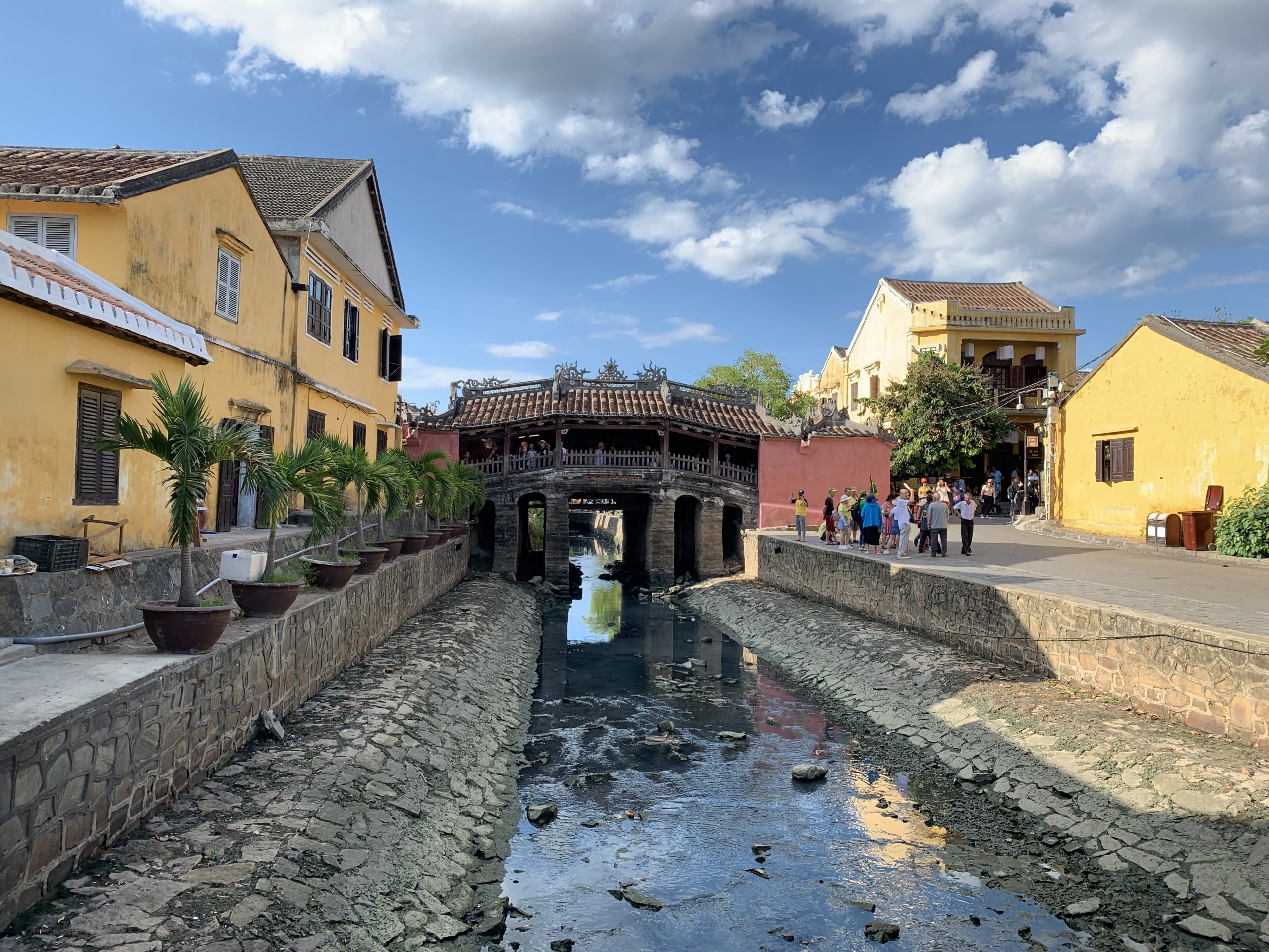 Mayutaの一問一会