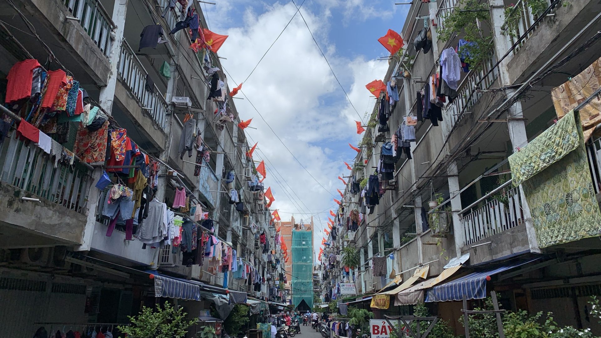 月: <span>2024年10月</span>