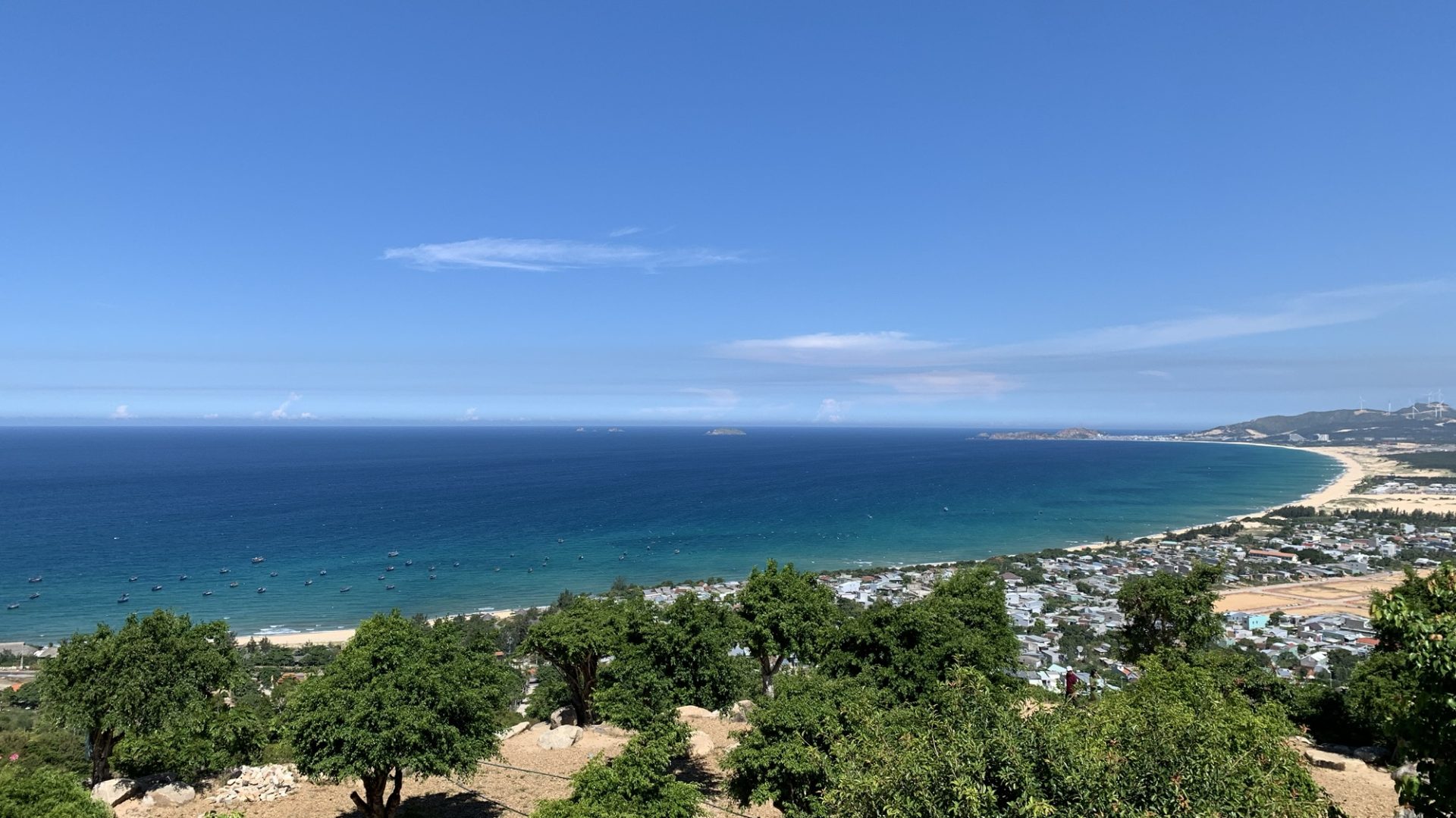 Mayutaの一問一会